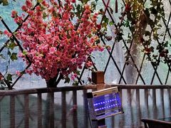 -鹅滋道(甘坑古镇店)