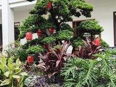 -聚福宝合苑食府(南头镇店)