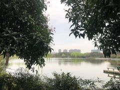 -杭州城北体育公园