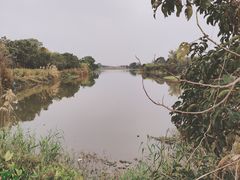 -鹤之洲湿地公园