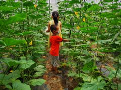 -万源龙顺度假庄园生态观光园