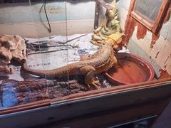 -Rabbit Cafe私房西餐甜点咖啡(栖霞路店)