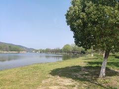 -长广溪湿地公园