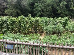 -延安杨家岭革命旧址