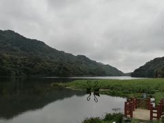 -广州市石门国家森林公园
