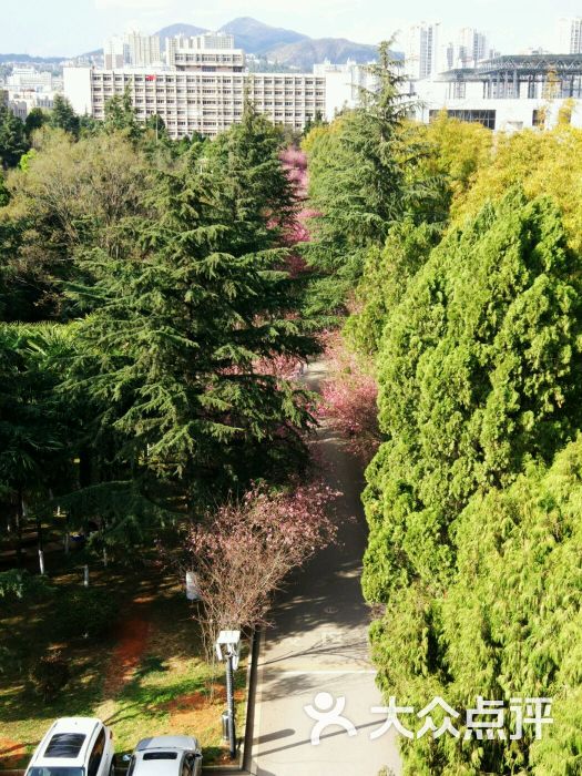 昆明理工大学(莲华校区)图片 第16张