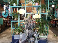 -浩源美食·椰子鸡