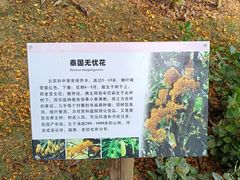 -中国科学院西双版纳热带植物园
