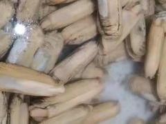 -正亮农家院·海鲜本地菜