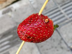 -雪儿钱局泡菜