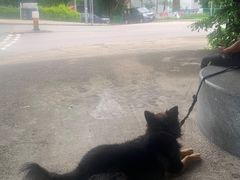 -胜记士多小食店