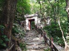 -国家植物园南园