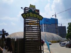 -柴犬高等学院·狗咖·柴犬售卖·宠物训练