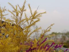 -府河摄影公园