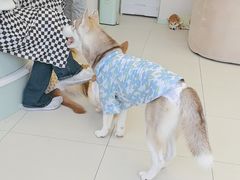 -怪兽屋·羊驼·猫咖·狗咖(俊华广场店)