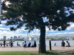 -台场海滨公园船码头