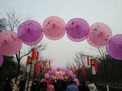 -洛阳市隋唐城遗址植物园