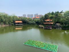 -长安公园