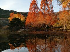 -北京植物园南门售票处