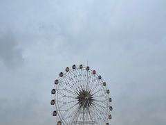 -奉贤海滩