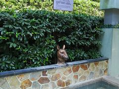 -汤山一号温泉度假区