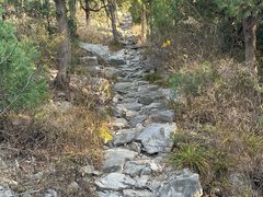-佛慧山