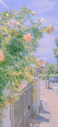 -D.G造型·烫发染发接发