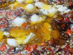 招牌水煮草鱼-雲蜀龙阁·金牌水煮鱼(方庄店)