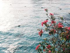 -卡帕莱度假村(西巴丹岛)