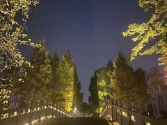 -洋湖国家湿地公园