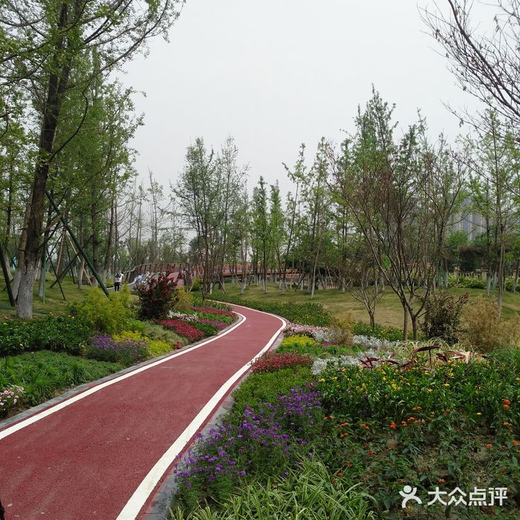 沿着三环的熊猫绿道骑行而来，并不远在华侨城对面