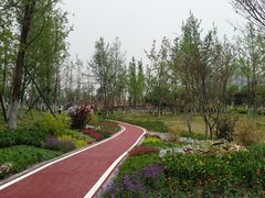 -府河摄影公园