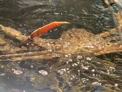 -蟹之国·精品蟹料理(极地店)