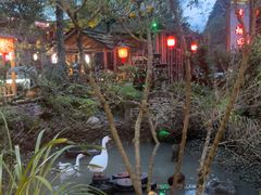 -青城甲(青城山店)