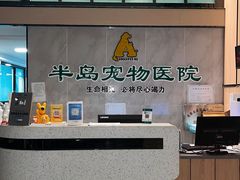 -半岛宠物医院24小时(科华中路店)