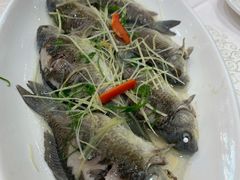 -寻味顺德·南记酒家·传统顺德菜·鱼生(广源路店)