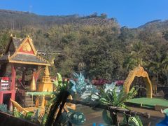 -西双版纳原始森林公园