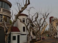 -夏朵花园(复兴西路店)