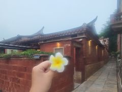 -临家闽南菜(五店市店)