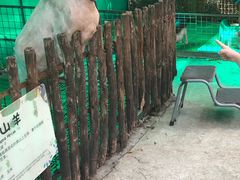 -史努比缤纷世界