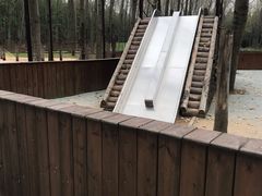 -黄海国家森林公园