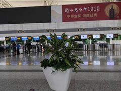 -石家庄正定国际机场-T2航站楼