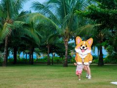 -三亚海棠湾喜来登度假酒店