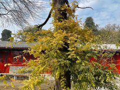 -承恩寺