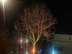 -豆花酒楼·三十八年匠心(秦皇东大街店)