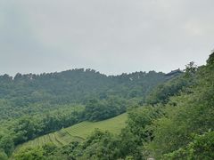 -敬亭山风景名胜区