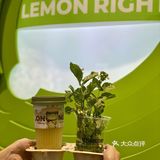 买茉莉茶还送茉莉花？