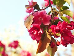 -元大都城垣遗址公园