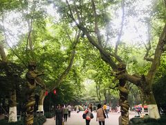 -杭州黄龙洞