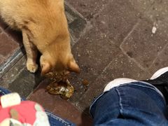 -肥姐美食(同福中路店)
